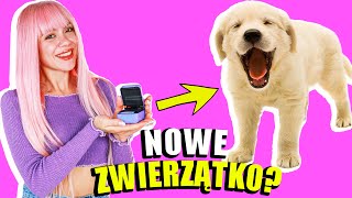 ADOPTOWAŁAM SŁODKIE ZWIERZĄTKA 🐶 Bitzee [upl. by Drews919]