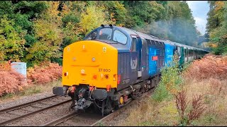 Sutton Park Line 37 Thrash  68s on MOD Flask Train [upl. by Neneek]