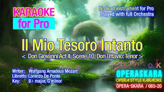 W A Mozart Don Giovanni Il mio tesoro intanto Karaoke for Prono lead instrumentfull Orchestra [upl. by Delilah547]