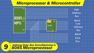 AddressData Demultiplexing in 8085 Microprocessor  Microprocessor and Microcontroller in Hindi [upl. by Janine919]