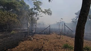 Nosso Sítio Pegou Fogo  Perdemos o Pasto dos Bois [upl. by Willie]