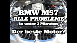 ALLE BMW PROBLEME M57 KAUFBERATUNG in unter 3 Minuten Drallklappe Injektor Glühkerzen Steuergerät [upl. by Ak]