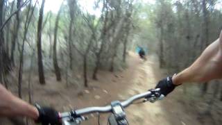 MTB crash at Loftus [upl. by Llovera]