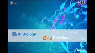 IB Bio 2025 B12 Protein SL  HL Note ib ibbiology biology protein [upl. by Raffaj521]