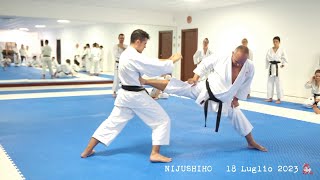 quot BUNKAI Liberare il Kata quot pt2 KATA SUPERIORI ESTATE 2023 [upl. by Maitland]