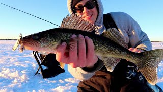 SHALLOW AGGRESSIVE Mid Winter WALLEYE [upl. by Humbert]