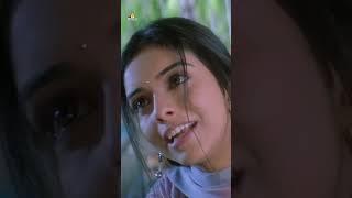 Asin Serious Over Vijay Thalapathy  massraja  action  shorts  ytshorts  youtubeshorts [upl. by Hance]