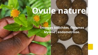 OVULE VAGINALE traditionnel pour trompes bouchées fibromes etc [upl. by Levin408]