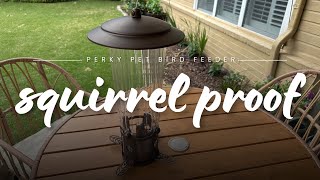 Perky Pet Extra Large 4 Pound Capacity Squirrel Proof Bird Feeder [upl. by Kimbra]