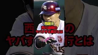 問題児西川遥輝のヤバすぎる素行とは 野球西川遥輝野球解説 [upl. by Pierrepont]