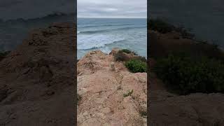 Playas de Tarragona el día de la tormenta Dana Caminando [upl. by Aihsenak]