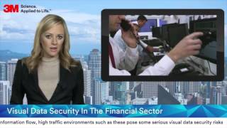 Visual Data Security In The Financial Sector  Part 1 [upl. by Assirehc396]