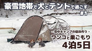 【雪中キャンプ】全てが凍る！？豪雪地帯で年末年始を犬とテントで過ごした記録 ～ 4泊5日年越し雪中キャンプ 1 犬連れ夫婦キャンプ [upl. by Mada]