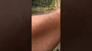 Fishing for dinks outdoors hiking ponds gopro shorts [upl. by Damal]