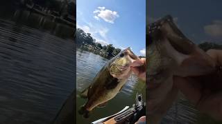 What’s better than power fishing bassfishing fishing [upl. by Llahsram]