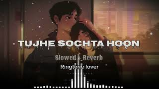 Tujhe Sochta Hoon । Lofi songs। Bollywood songs। Jannat 2। Emraan Hashmi [upl. by Lahcar352]