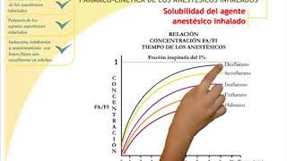 anestesia inhalatoria en adultos 2 [upl. by Sral]