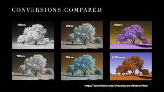 Discovering Digital Infrared Photography Webinar Replay [upl. by Miyasawa204]