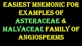 Mnemonic to Remember Examples of Asteraceae amp Malvaceae family of Angiosperm [upl. by Schwing960]