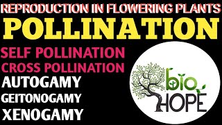 POLLINATION FOR CLASS 10TH AND 12TH BIOLOGY AND NEET STUDENTS BY SHAREEF SIR [upl. by Malloy495]