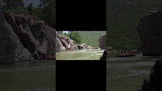 கோடி அருவி கொட்டுதடி VRS at Hogenakkal Falls🌊 shorts [upl. by Eeluj]