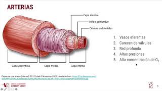 Ateromatosis parte 1 [upl. by Suoiradal]