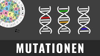 Mutationsarten  Genmutation Genommutation Chromosomenmutation  Biologie kurz erklärt [upl. by Ernesto]