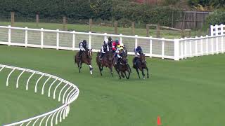 Ellerslie Jump Outs  10th September Heat Five [upl. by Enneyehs]