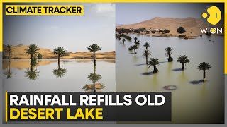 Water Gushes Through Sand Of Sahara  WION Climate Tracker  World News [upl. by Enomar]