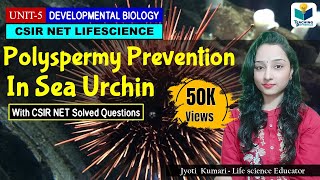 PREVENTION OF POLYSPERMY IN SEA URCHINS FAST AND SLOW BLOCK CSIR NETDEVELOPMENTAL BIOLOGY [upl. by Alaik732]