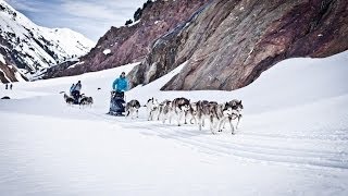 Der Husky Mann  Ein großes Abenteuer auf vielen Pfoten Trailer Deutsch [upl. by Onibla391]