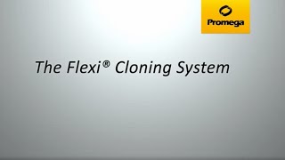 Flexi® Cloning System [upl. by Ahsinuq705]