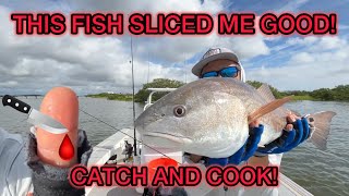 Nice Redfish Sliced My Finger Pulling Drag Mullet Run Continues Catch Clean Cook [upl. by Anairo]