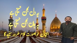 Ye Dil bhi hussaini hai ye Jaan bhi hussaini hai  Syed husnain Raza  shabi roza imam Hussain as [upl. by Karli354]