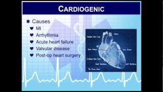 Critical Care Paramedic 14 Vasopressors and Inotropes in the Pharmacotherapy of Shock [upl. by Haze]