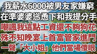 我薪水6000被男友家嫌窮，在準婆婆慫恿下和我提分手，嘲諷我這點工資還不夠狗花，殊不知晚宴上首富管家進門，一聲「大小姐」他們當場傻眼。家庭情感故事 中老年生活中老年深夜故事 【孤燈伴長情】 [upl. by Sacksen]