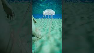 How A Jellyfish Actually Stings You 😱  Melon Playground jellyfish [upl. by Herates615]