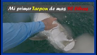 Los Mejores Consejos Para Pescar Tarpon en Miami [upl. by Uon]