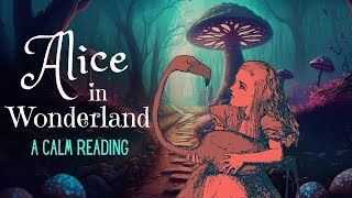 Reading of Alice in Wonderland  full audiobook  Story Reading for Sleep  Relaxing Reading [upl. by Neelcaj]