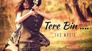 Tere Bin  Hindi Songs 2024  Hindi lofi songs tasmusic songs [upl. by Ardnala]