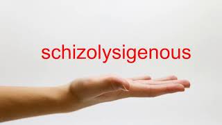 How to Pronounce schizolysigenous  American English [upl. by Lelah]