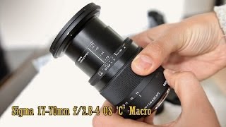 Sigma 1770mm f284 OS Macro C lens review with samples [upl. by Eittod209]