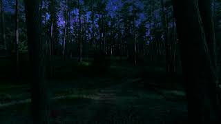 Night Sky Time Lapse • Milky Way Galaxy • Enchanted Forest Ambience [upl. by Lytle]