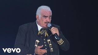 Vicente Fernández  Un Millón de Primaveras En Vivo Un Azteca en el Azteca [upl. by Dazhehs]