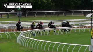 Flemington Jump Outs 15 Nov 2024 Jump Out 5 [upl. by Aztiray]