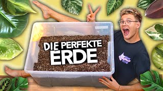 Die PERFEKTE ERDE für ZIMMERPFLANZEN  Pflanzenerde selbst mixen  Joeys Jungle Plants [upl. by Ellimaj]