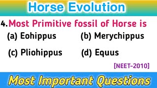 MCQs on Horse Evolution  NEET Biology  Most Important Questions [upl. by Myles]