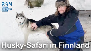 HundeschlittenTouren im Süden Lapplands  HuskyAbenteuer auf der Saija Lodge Finnland 2022 [upl. by Nnylirehs]