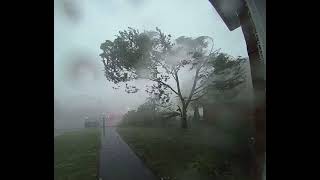 Tree Blown Apart by 100mph Derecho Winds This is CRAZY [upl. by Ahsaekal]