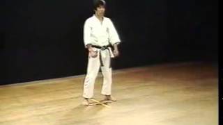 Heian Sandan  Shotokan SKIF  Hirokazu Kanazawa [upl. by Sofie193]